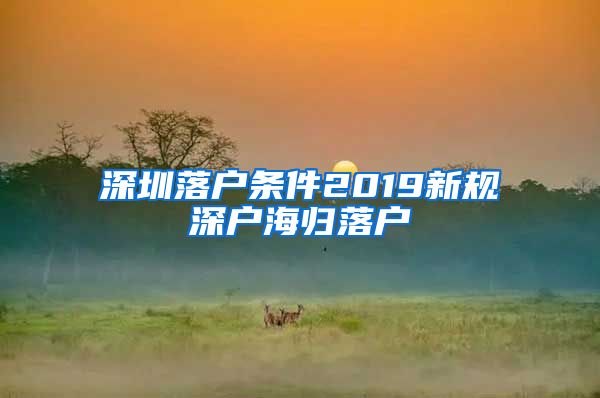 深圳落户条件2019新规深户海归落户
