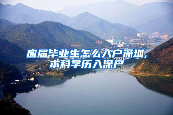 应届毕业生怎么入户深圳,本科学历入深户