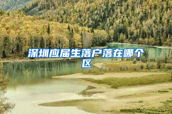 深圳应届生落户落在哪个区