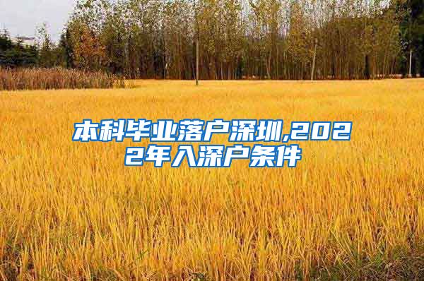 本科毕业落户深圳,2022年入深户条件
