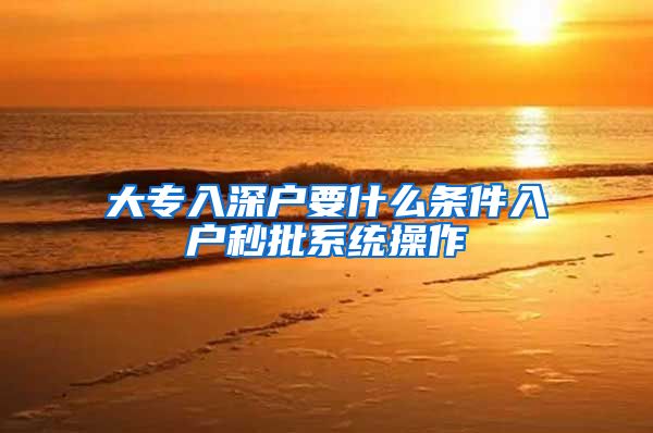 大专入深户要什么条件入户秒批系统操作