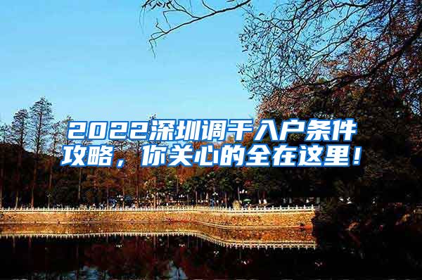 2022深圳调干入户条件攻略，你关心的全在这里！