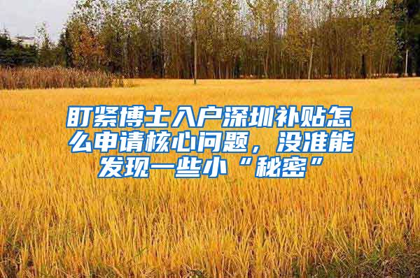 盯紧博士入户深圳补贴怎么申请核心问题，没准能发现一些小“秘密”