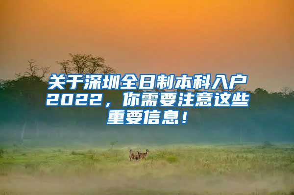 关于深圳全日制本科入户2022，你需要注意这些重要信息！