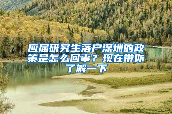 应届研究生落户深圳的政策是怎么回事？现在带你了解一下