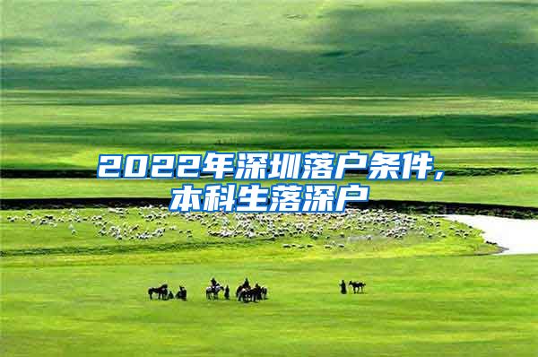 2022年深圳落户条件,本科生落深户