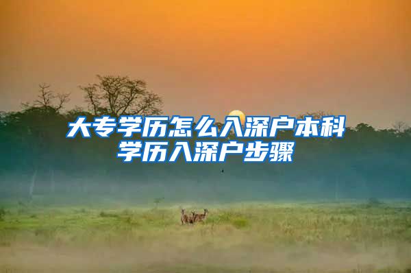 大专学历怎么入深户本科学历入深户步骤