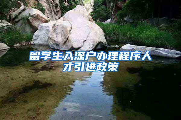 留学生入深户办理程序人才引进政策