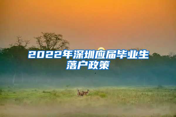 2022年深圳应届毕业生落户政策
