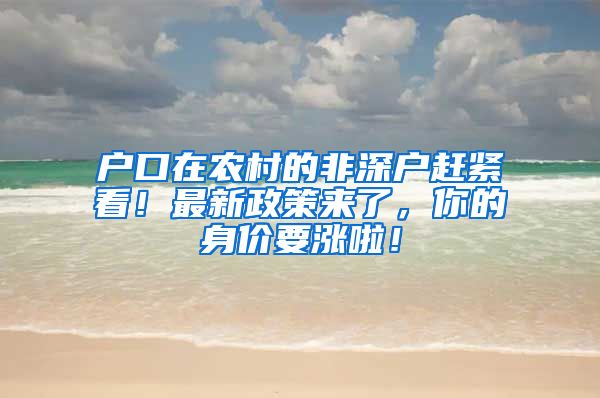 户口在农村的非深户赶紧看！最新政策来了，你的身价要涨啦！