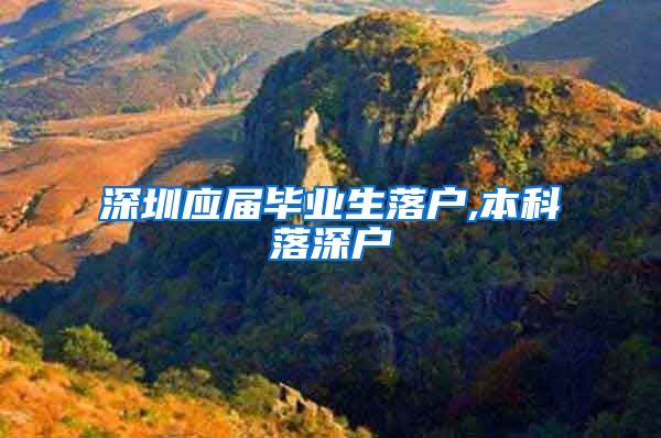 深圳应届毕业生落户,本科落深户