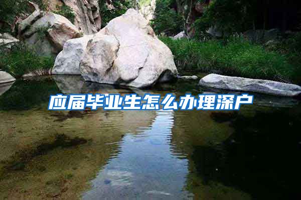 应届毕业生怎么办理深户