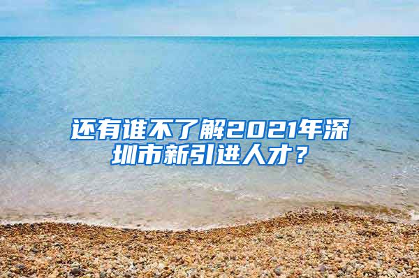 还有谁不了解2021年深圳市新引进人才？
