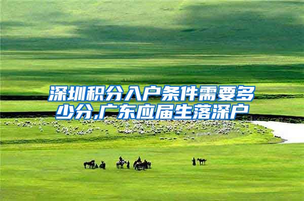 深圳积分入户条件需要多少分,广东应届生落深户