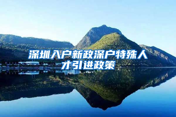 深圳入户新政深户特殊人才引进政策