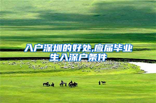入户深圳的好处,应届毕业生入深户条件
