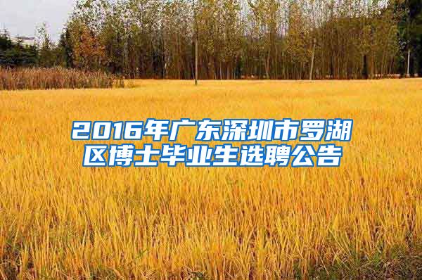 2016年广东深圳市罗湖区博士毕业生选聘公告