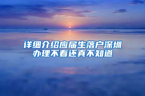 详细介绍应届生落户深圳办理不看还真不知道