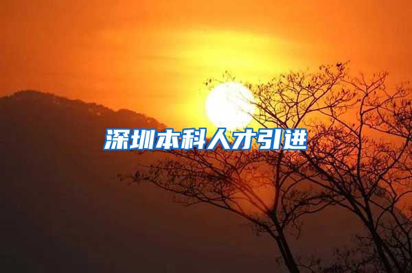 深圳本科人才引进