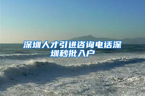 深圳人才引进咨询电话深圳秒批入户