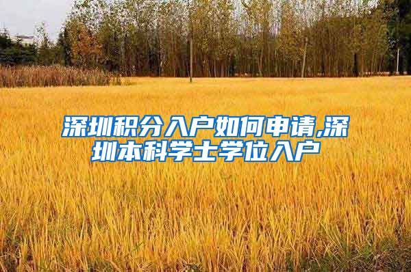 深圳积分入户如何申请,深圳本科学士学位入户