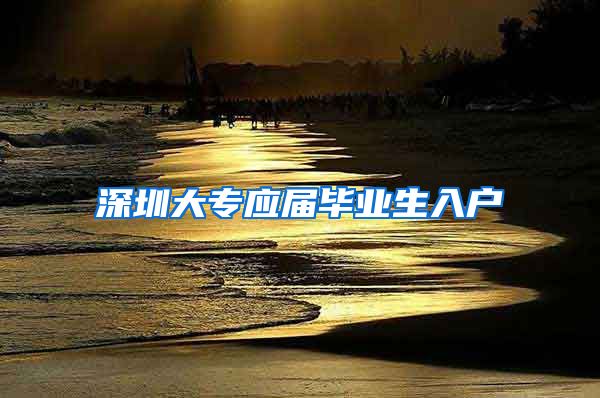 深圳大专应届毕业生入户