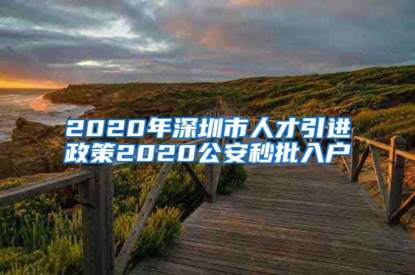 2020年深圳市人才引进政策2020公安秒批入户