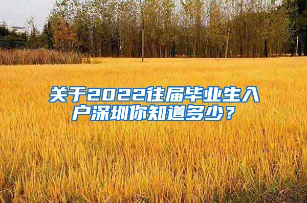 关于2022往届毕业生入户深圳你知道多少？
