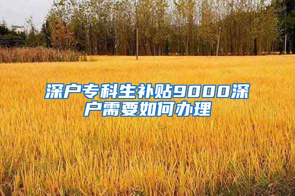 深户专科生补贴9000深户需要如何办理