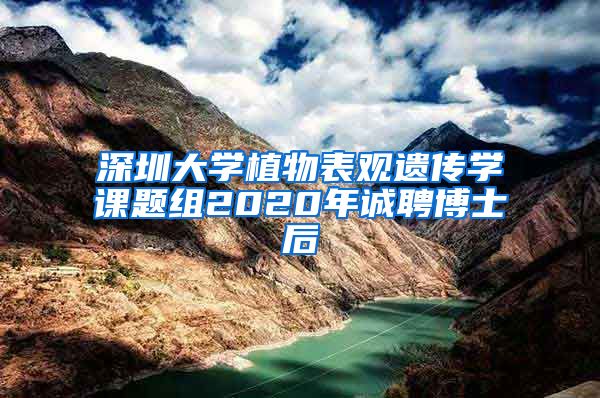 深圳大学植物表观遗传学课题组2020年诚聘博士后