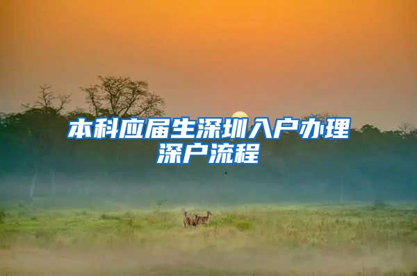 本科应届生深圳入户办理深户流程