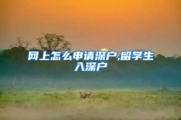 网上怎么申请深户,留学生入深户