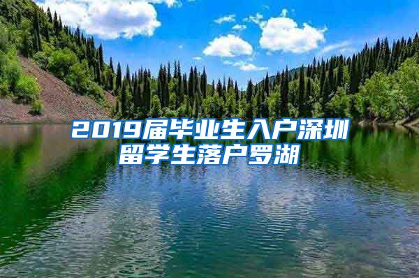 2019届毕业生入户深圳留学生落户罗湖