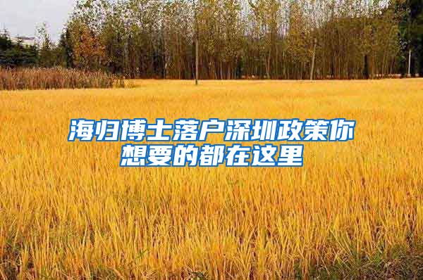 海归博士落户深圳政策你想要的都在这里