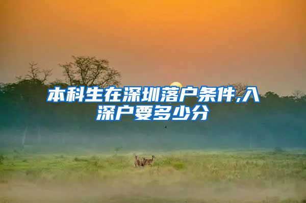 本科生在深圳落户条件,入深户要多少分