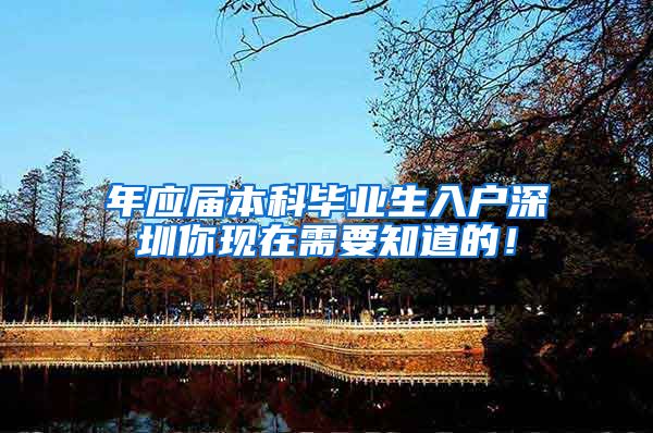 年应届本科毕业生入户深圳你现在需要知道的！