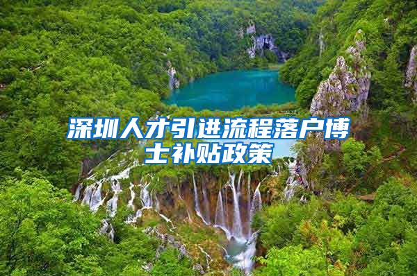 深圳人才引进流程落户博士补贴政策
