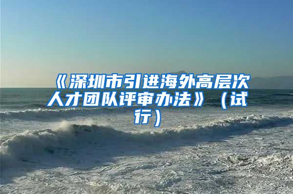 《深圳市引进海外高层次人才团队评审办法》（试行）