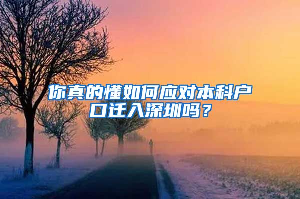 你真的懂如何应对本科户口迁入深圳吗？