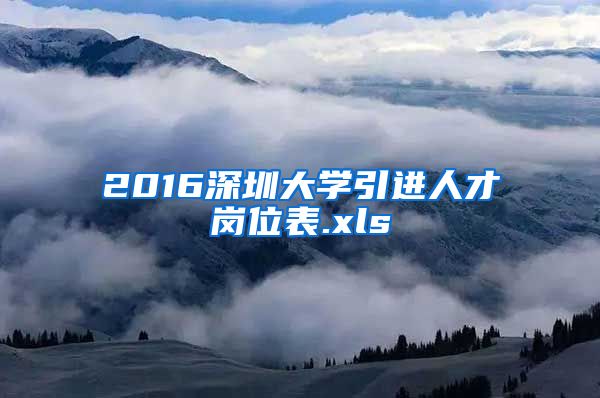 2016深圳大学引进人才岗位表.xls