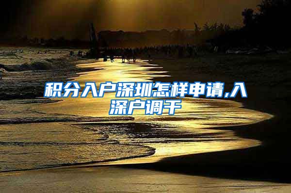 积分入户深圳怎样申请,入深户调干