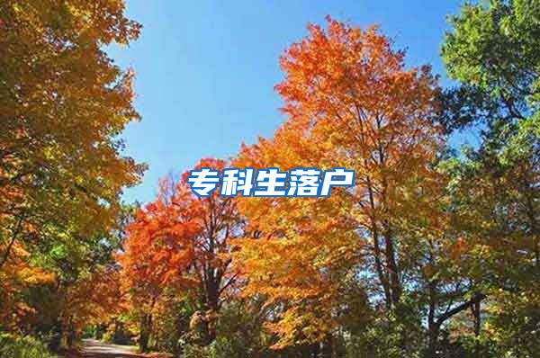 专科生落户