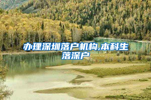 办理深圳落户机构,本科生落深户