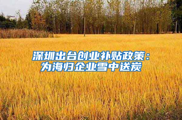 深圳出台创业补贴政策：为海归企业雪中送炭