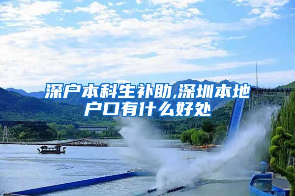 深户本科生补助,深圳本地户口有什么好处