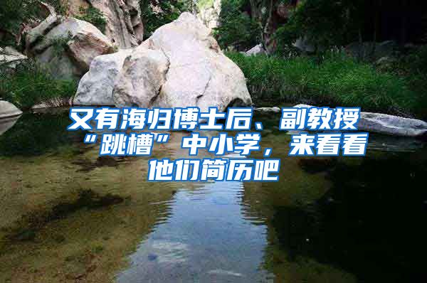 又有海归博士后、副教授“跳槽”中小学，来看看他们简历吧