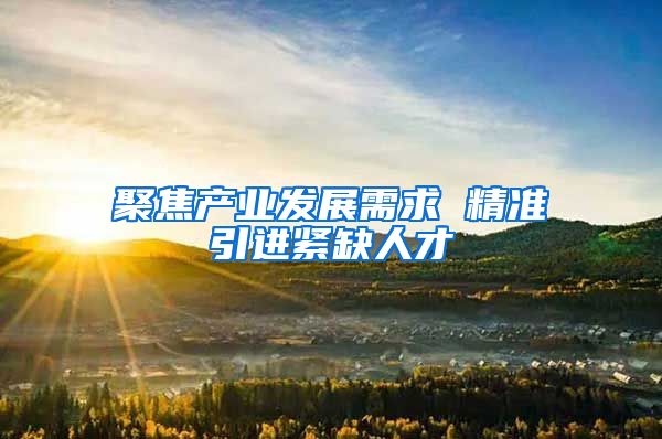 聚焦产业发展需求 精准引进紧缺人才