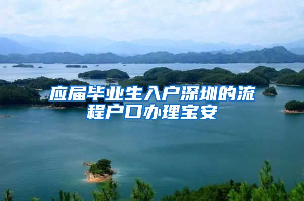 应届毕业生入户深圳的流程户口办理宝安