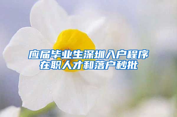 应届毕业生深圳入户程序在职人才和落户秒批