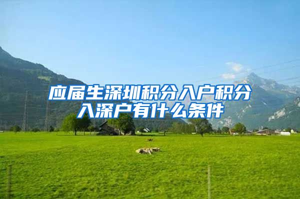 应届生深圳积分入户积分入深户有什么条件